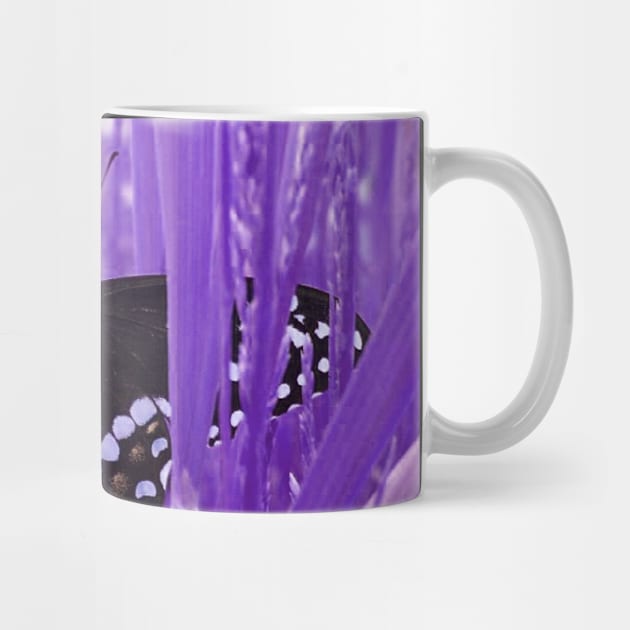 Purple Grass Swallowtail Butterfly by ARTWORKandBEYOND